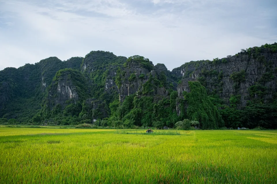 Kho gạo của Đinh Khoa Hồng Lĩnh